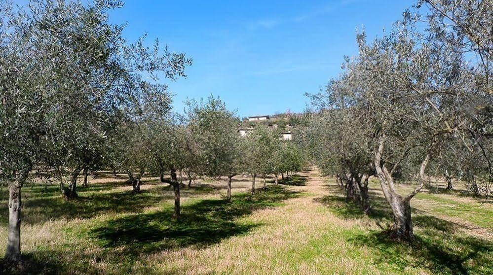 Casale San Pietro Bed & Breakfast Anagni Dış mekan fotoğraf
